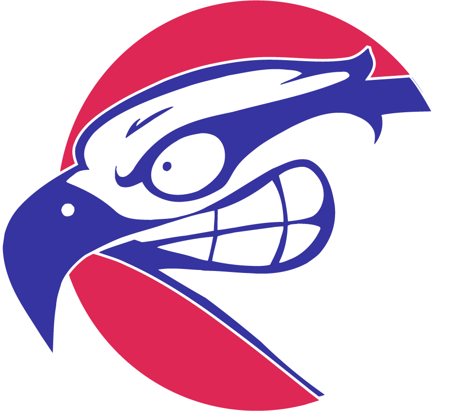 UMass Lowell River Hawks 1997-2006 Secondary Logo v2 iron on transfers for T-shirts